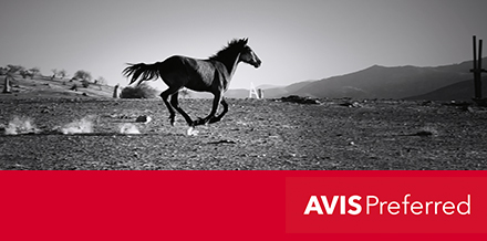 Avis Preferred