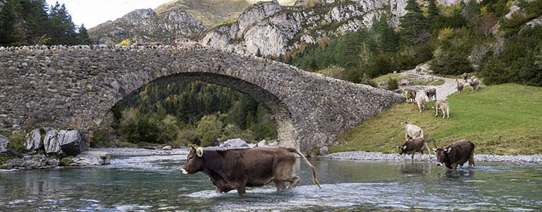 Ispanija. Kelias U-631 vedantis iš Escalona į Rios Bellosvia